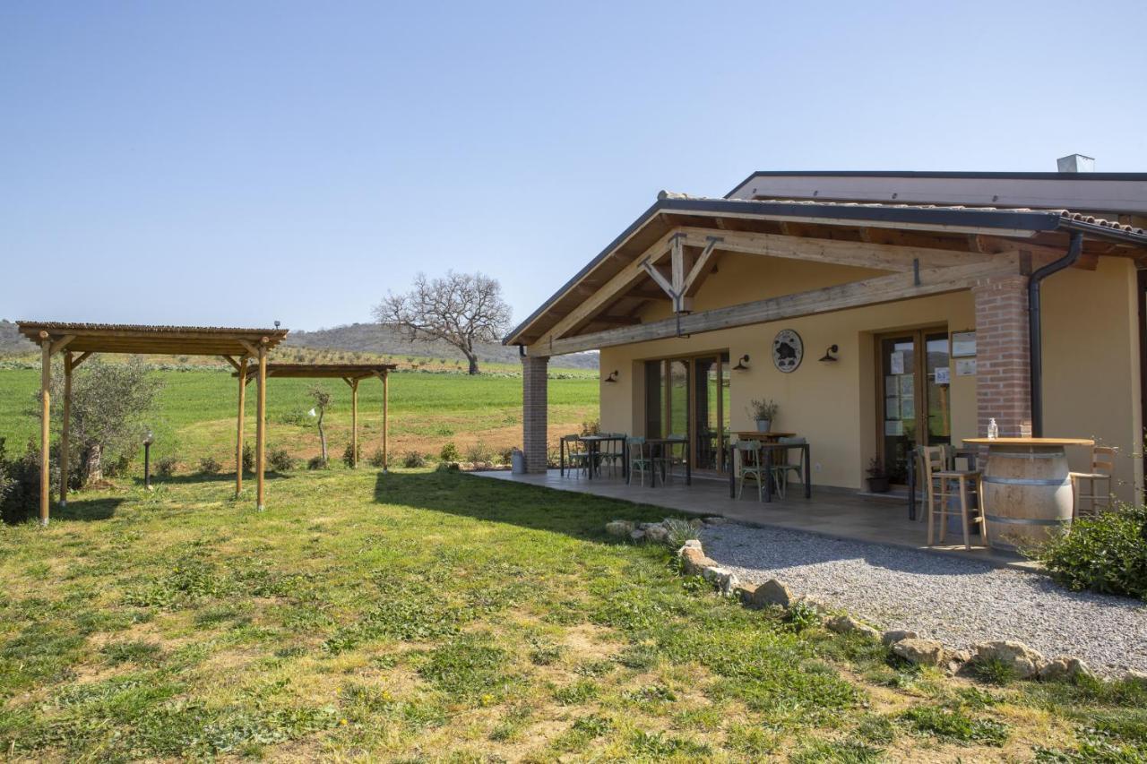 Agriturismo Casa Ricci Magliano in Toscana Zewnętrze zdjęcie