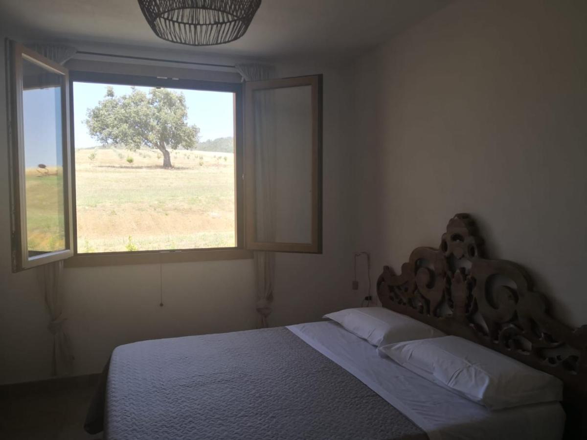 Agriturismo Casa Ricci Magliano in Toscana Zewnętrze zdjęcie