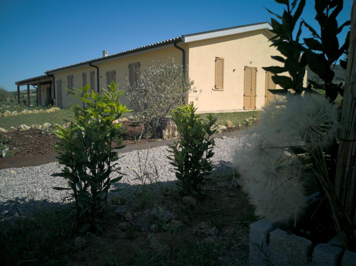 Agriturismo Casa Ricci Magliano in Toscana Zewnętrze zdjęcie