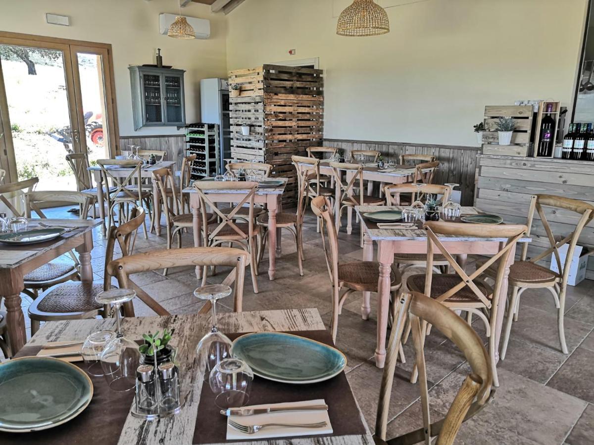 Agriturismo Casa Ricci Magliano in Toscana Zewnętrze zdjęcie